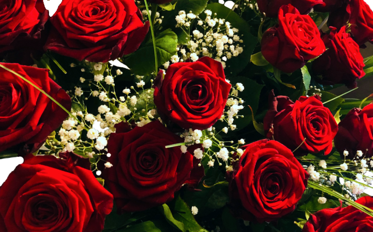 Catering-Angebote Berlin mit roten Rosen und weißen Blüten.